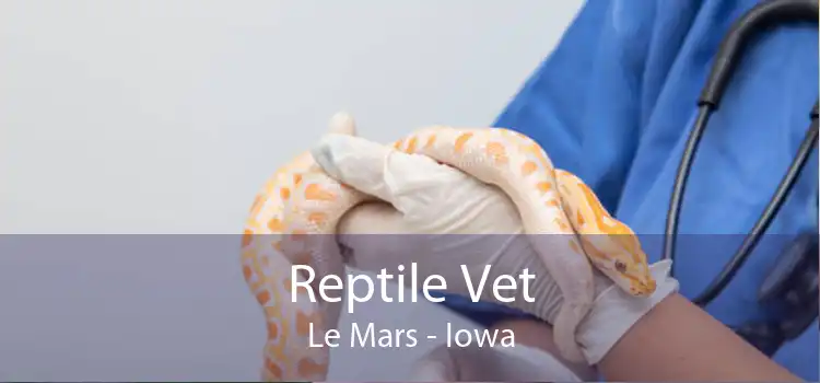 Reptile Vet Le Mars - Iowa