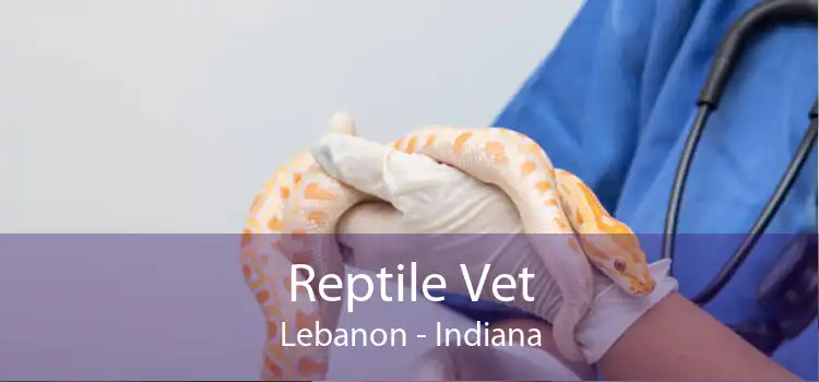 Reptile Vet Lebanon - Indiana