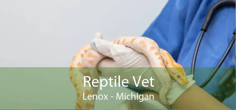 Reptile Vet Lenox - Michigan