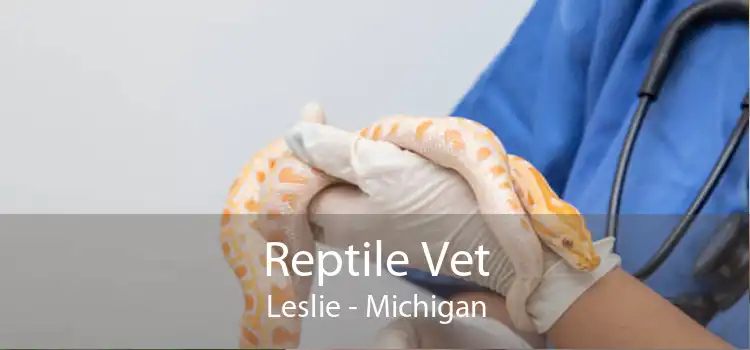 Reptile Vet Leslie - Michigan