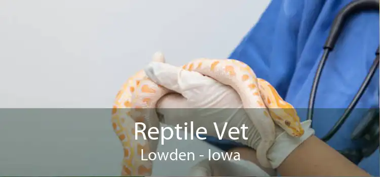 Reptile Vet Lowden - Iowa