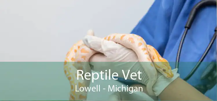 Reptile Vet Lowell - Michigan
