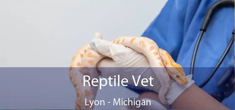 Reptile Vet Lyon - Michigan