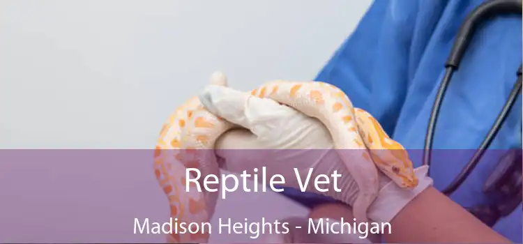 Reptile Vet Madison Heights - Michigan