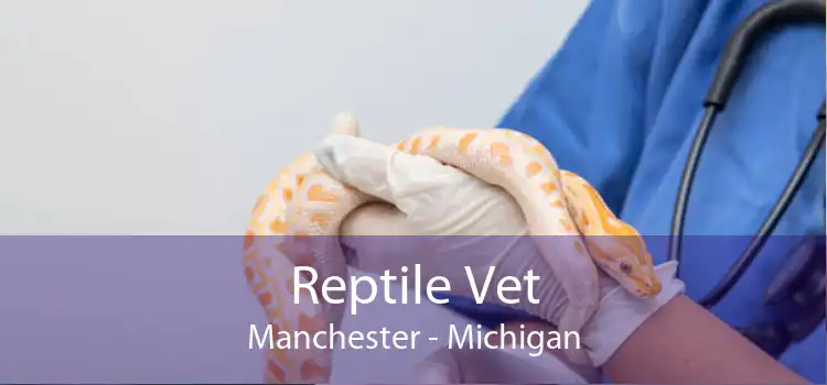 Reptile Vet Manchester - Michigan