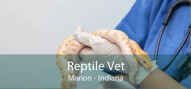 Reptile Vet Marion - Indiana