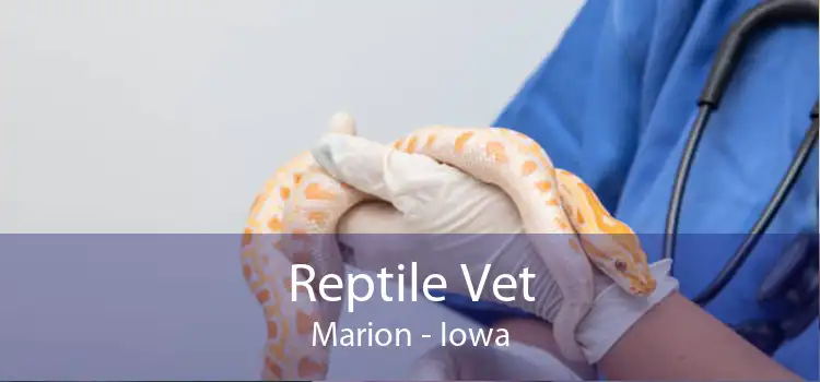Reptile Vet Marion - Iowa