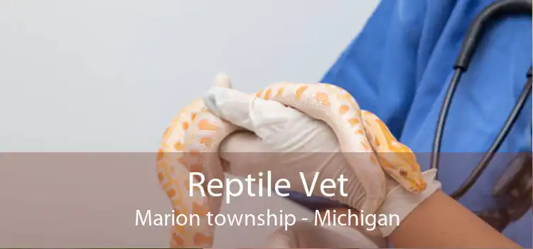Reptile Vet Marion township - Michigan