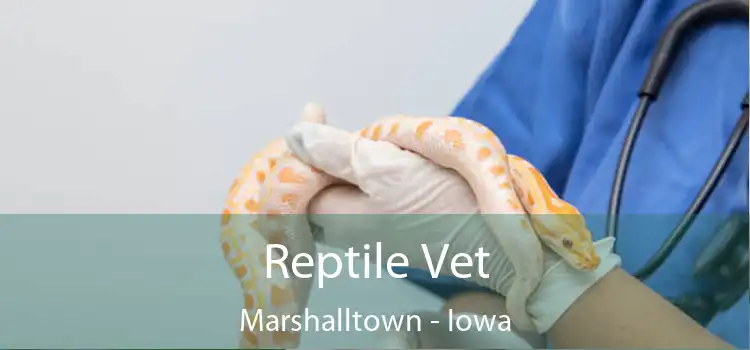 Reptile Vet Marshalltown - Iowa