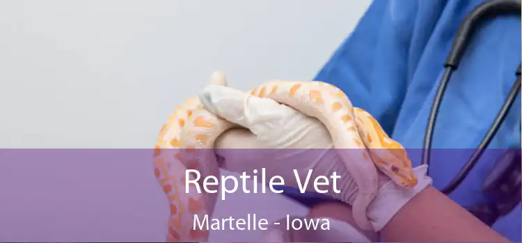 Reptile Vet Martelle - Iowa