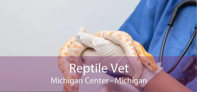 Reptile Vet Michigan Center - Michigan