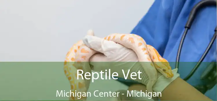 Reptile Vet Michigan Center - Michigan