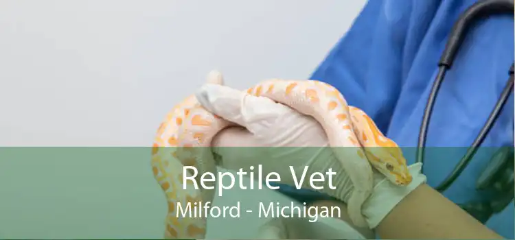 Reptile Vet Milford - Michigan