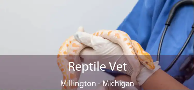 Reptile Vet Millington - Michigan