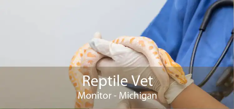 Reptile Vet Monitor - Michigan