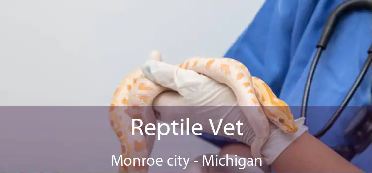 Reptile Vet Monroe city - Michigan