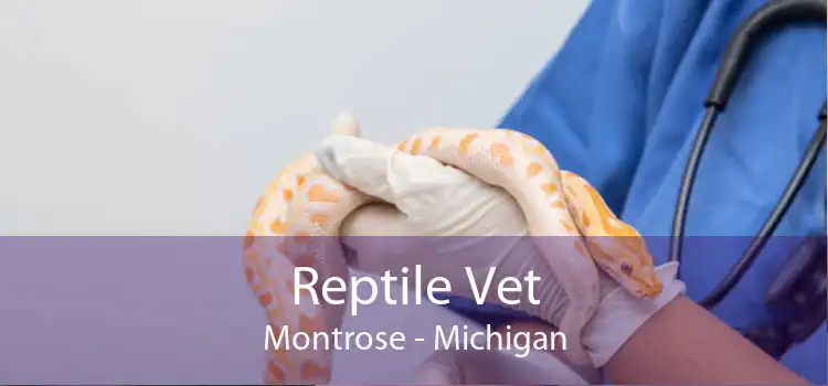 Reptile Vet Montrose - Michigan
