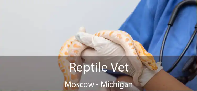 Reptile Vet Moscow - Michigan