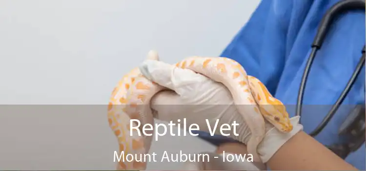 Reptile Vet Mount Auburn - Iowa