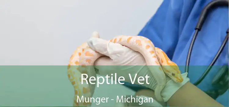 Reptile Vet Munger - Michigan