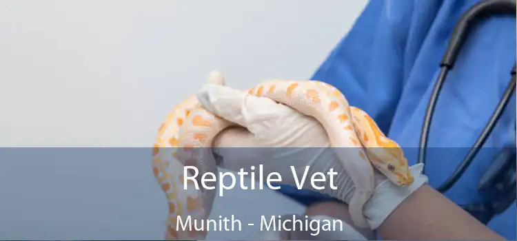 Reptile Vet Munith - Michigan