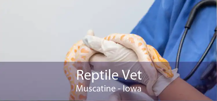 Reptile Vet Muscatine - Iowa