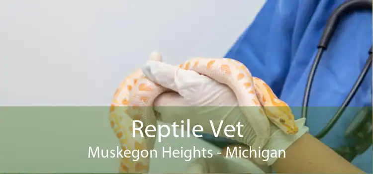 Reptile Vet Muskegon Heights - Michigan