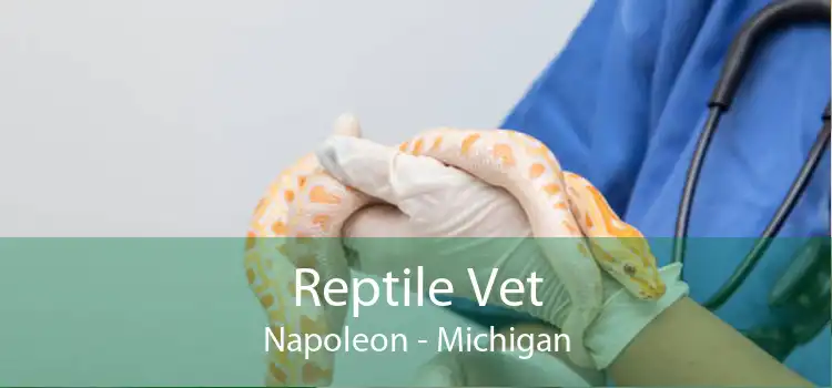 Reptile Vet Napoleon - Michigan