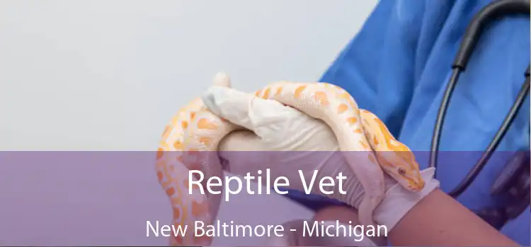 Reptile Vet New Baltimore - Michigan