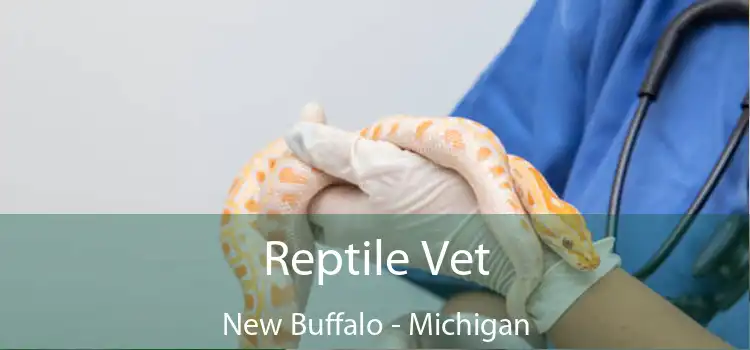 Reptile Vet New Buffalo - Michigan