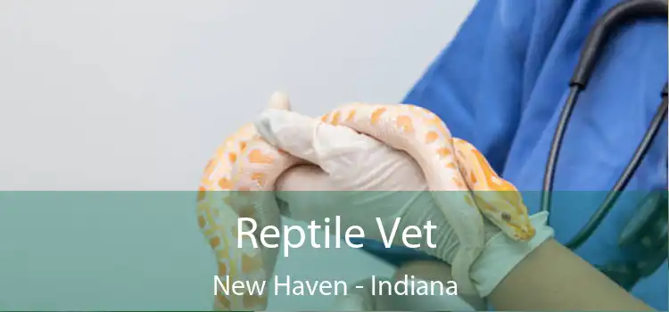 Reptile Vet New Haven - Indiana