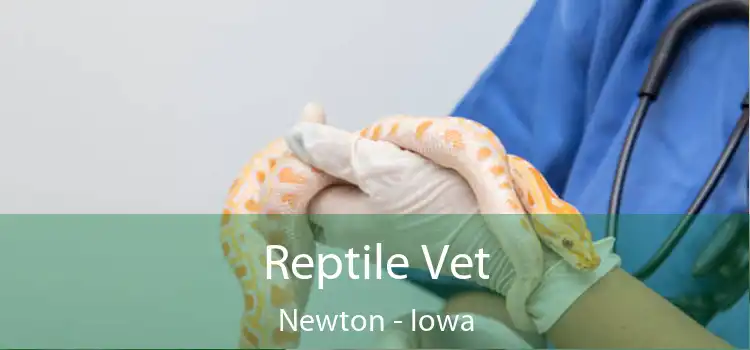 Reptile Vet Newton - Iowa