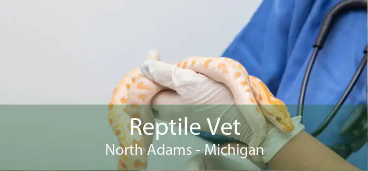 Reptile Vet North Adams - Michigan