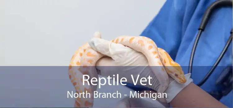 Reptile Vet North Branch - Michigan