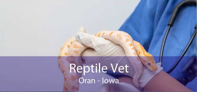 Reptile Vet Oran - Iowa