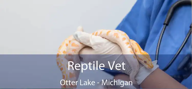 Reptile Vet Otter Lake - Michigan