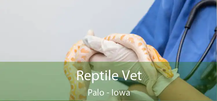 Reptile Vet Palo - Iowa