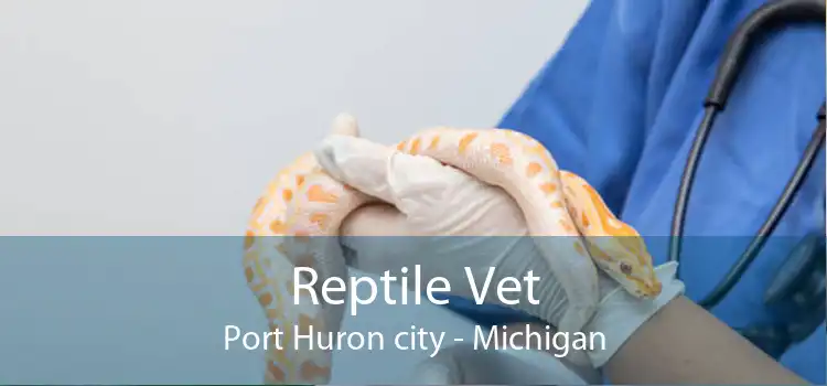 Reptile Vet Port Huron city - Michigan