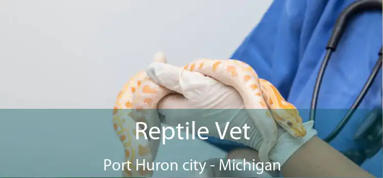 Reptile Vet Port Huron city - Michigan