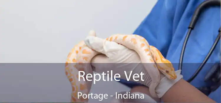 Reptile Vet Portage - Indiana