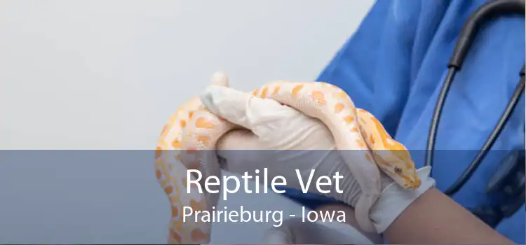 Reptile Vet Prairieburg - Iowa