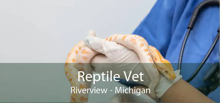 Reptile Vet Riverview - Michigan