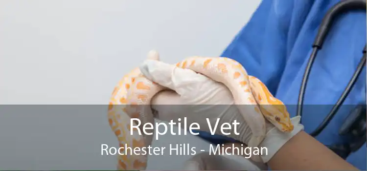 Reptile Vet Rochester Hills - Michigan