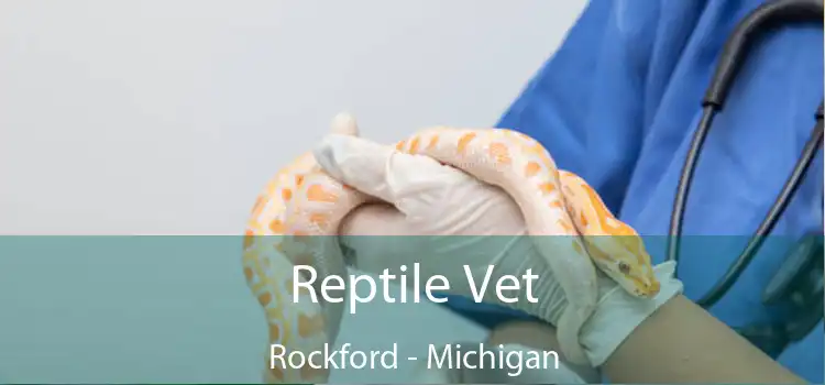 Reptile Vet Rockford - Michigan