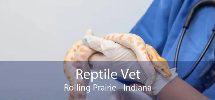 Reptile Vet Rolling Prairie - Indiana
