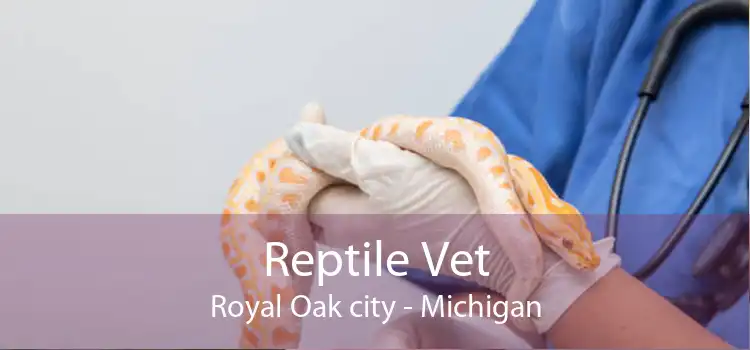 Reptile Vet Royal Oak city - Michigan