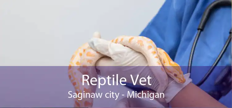 Reptile Vet Saginaw city - Michigan