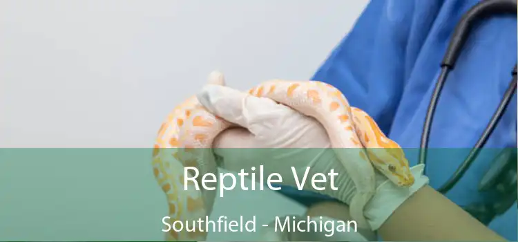 Reptile Vet Southfield - Michigan