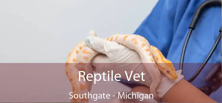 Reptile Vet Southgate - Michigan