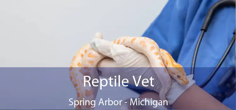 Reptile Vet Spring Arbor - Michigan